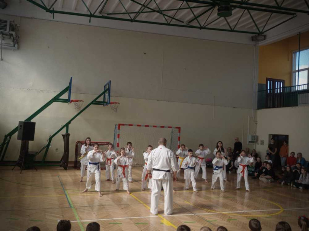 Pokaz karate w hrubieszowskiej Trójce [ZDJĘCIA]