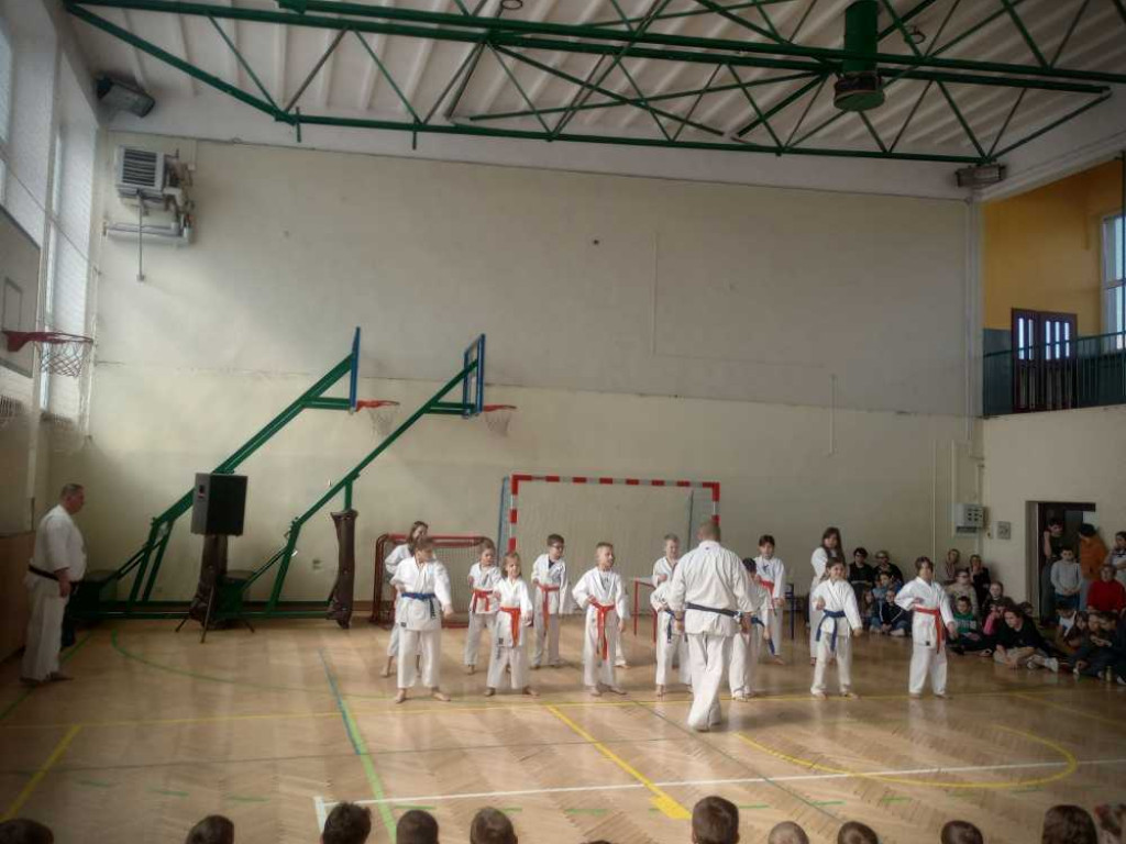 Pokaz karate w hrubieszowskiej Trójce [ZDJĘCIA]