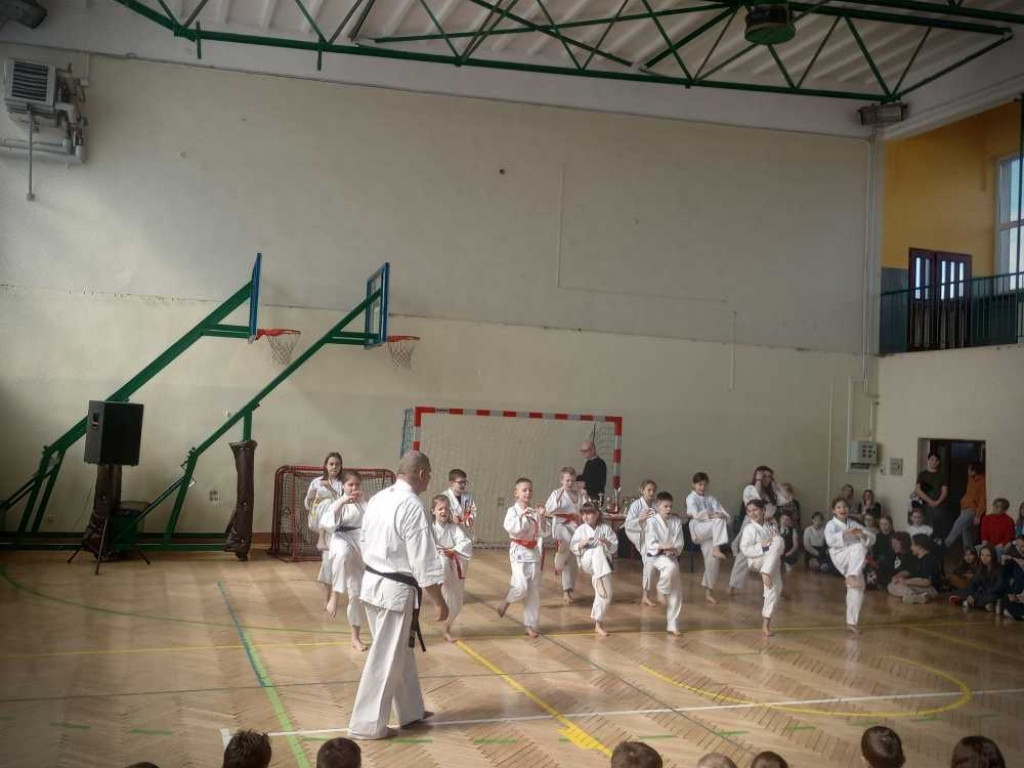 Pokaz karate w hrubieszowskiej Trójce [ZDJĘCIA]