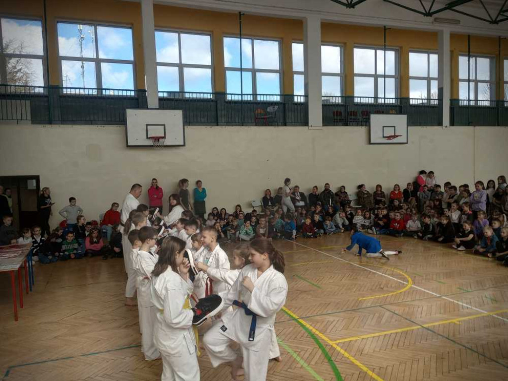 Pokaz karate w hrubieszowskiej Trójce [ZDJĘCIA]