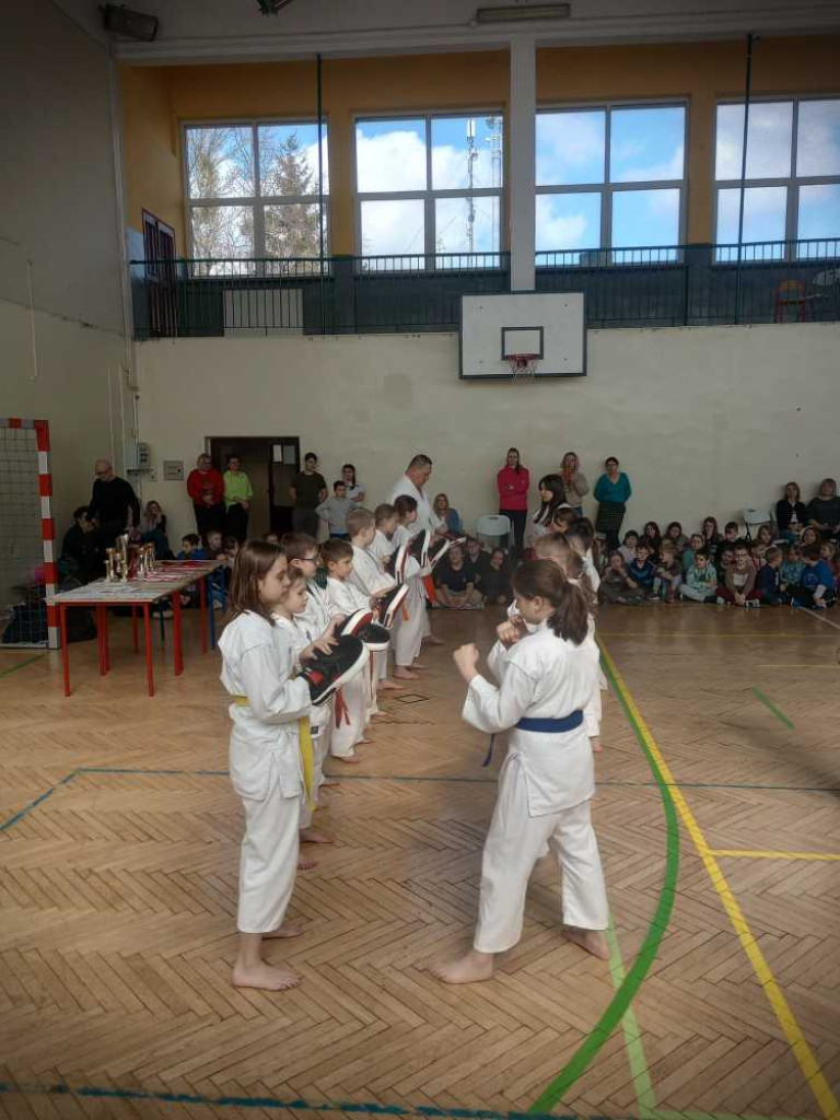 Pokaz karate w hrubieszowskiej Trójce [ZDJĘCIA]