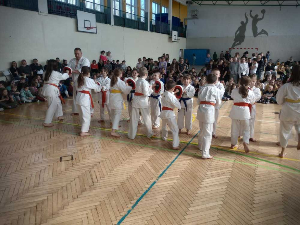 Pokaz karate w hrubieszowskiej Trójce [ZDJĘCIA]