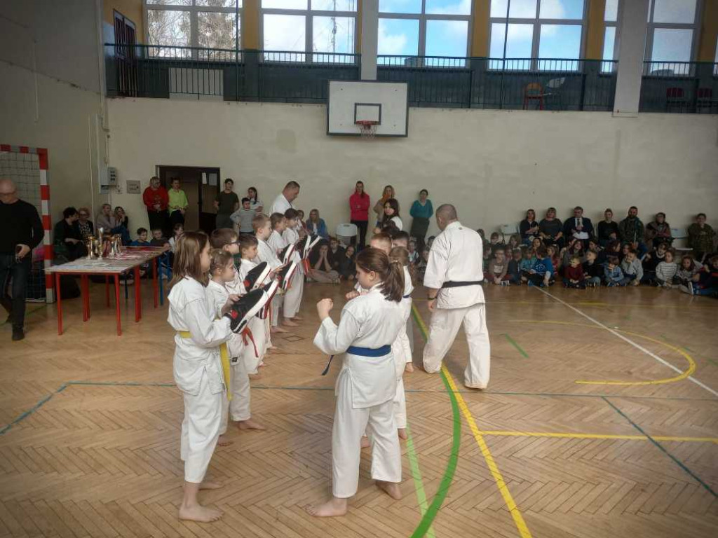Pokaz karate w hrubieszowskiej Trójce [ZDJĘCIA]