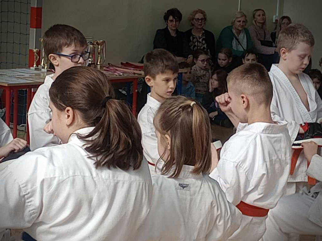 Pokaz karate w hrubieszowskiej Trójce [ZDJĘCIA]