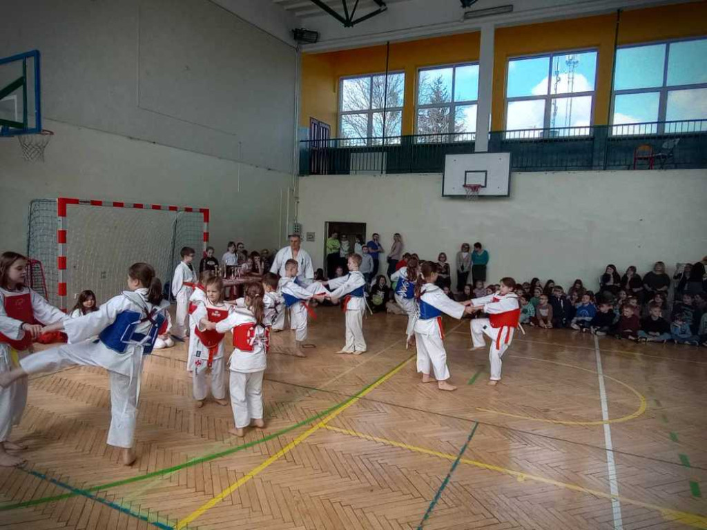 Pokaz karate w hrubieszowskiej Trójce [ZDJĘCIA]