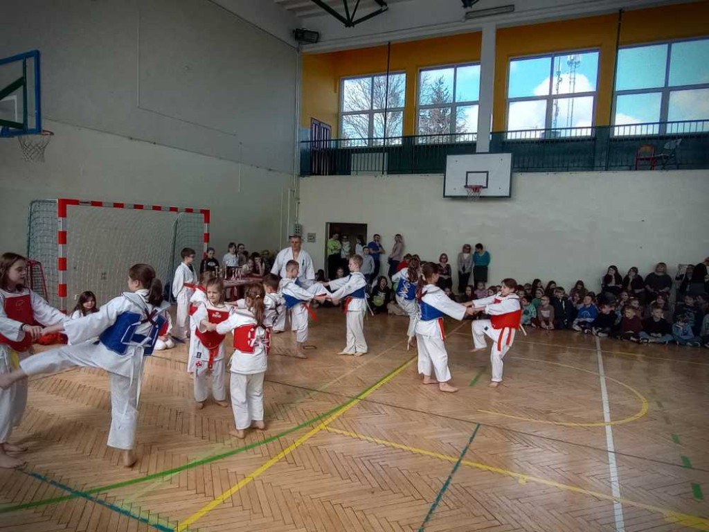 Pokaz karate w hrubieszowskiej Trójce [ZDJĘCIA]