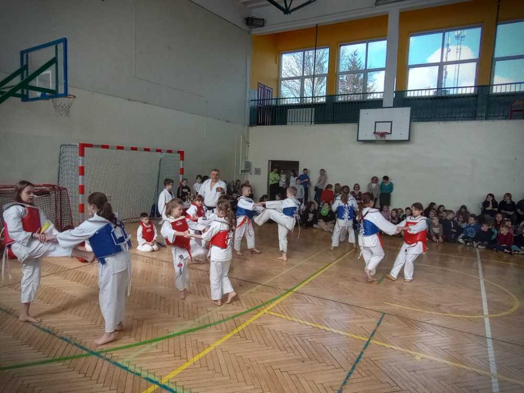 Pokaz karate w hrubieszowskiej Trójce [ZDJĘCIA]