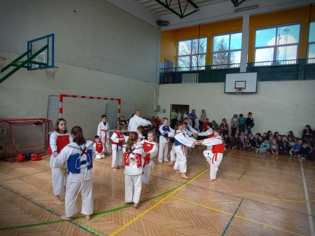 Pokaz karate w hrubieszowskiej Trójce [ZDJĘCIA]