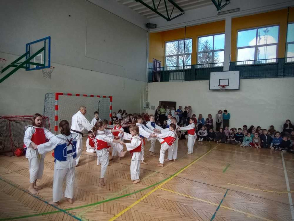 Pokaz karate w hrubieszowskiej Trójce [ZDJĘCIA]