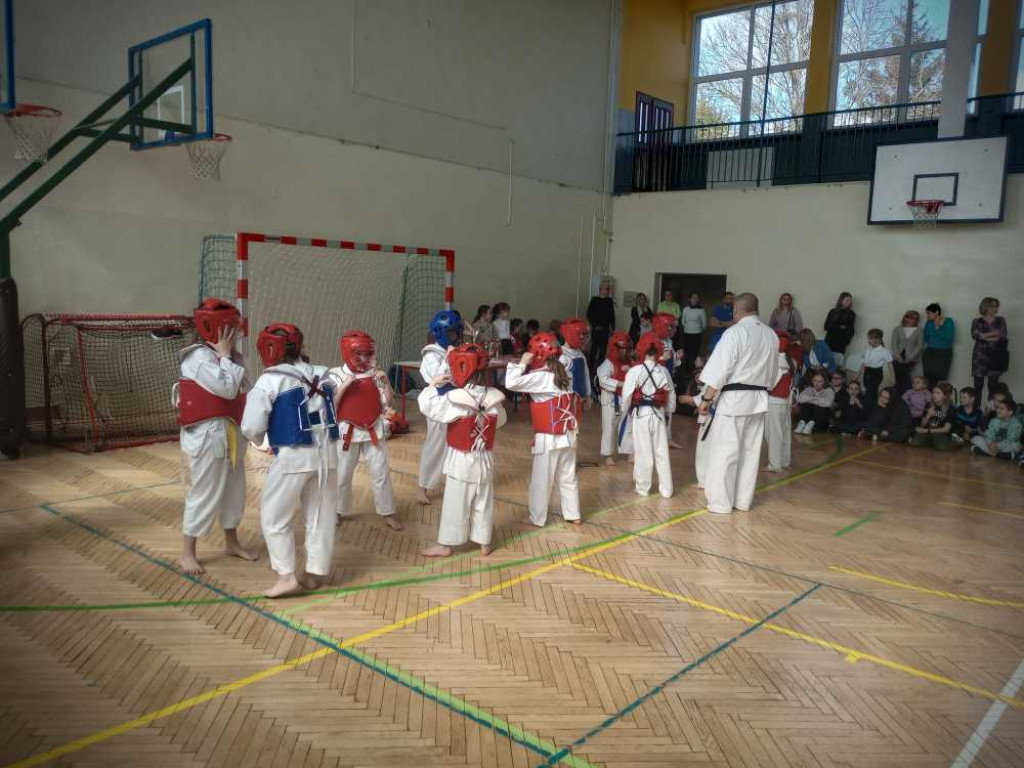 Pokaz karate w hrubieszowskiej Trójce [ZDJĘCIA]