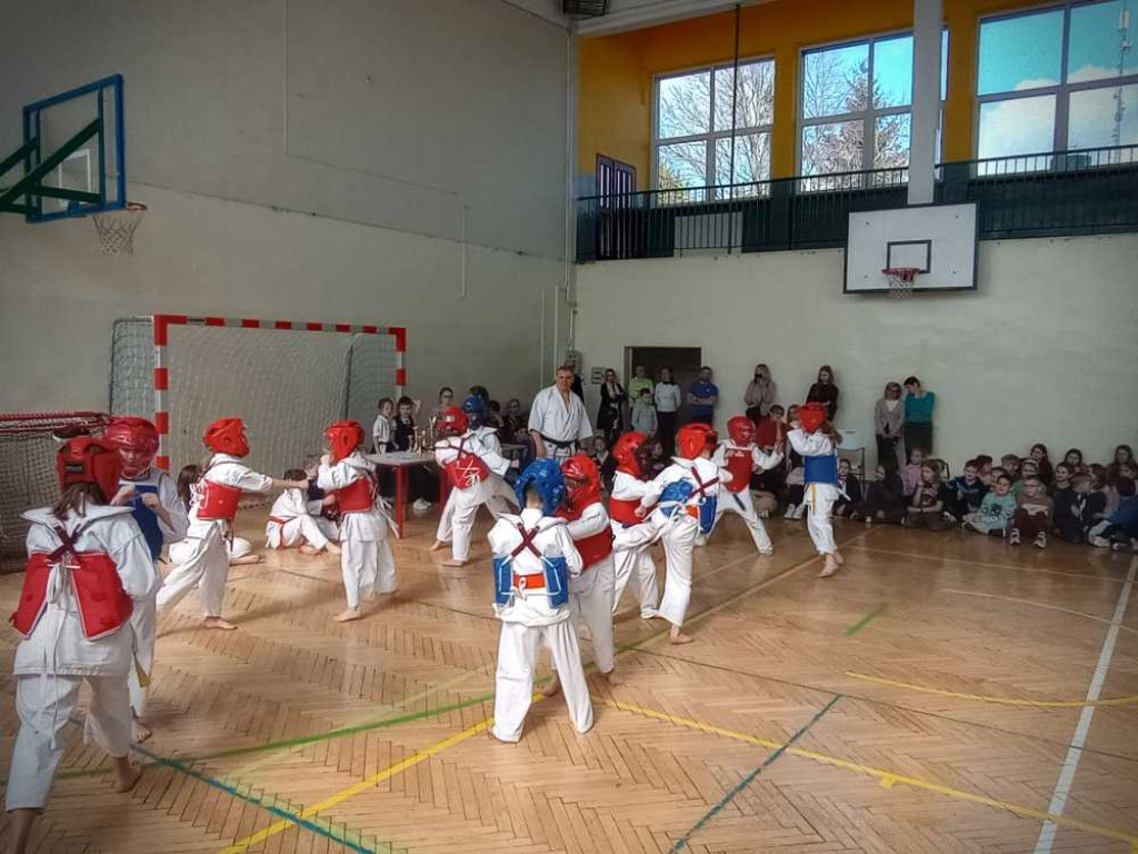 Pokaz karate w hrubieszowskiej Trójce [ZDJĘCIA]