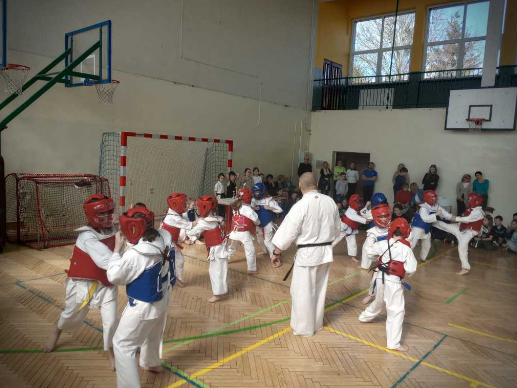 Pokaz karate w hrubieszowskiej Trójce [ZDJĘCIA]