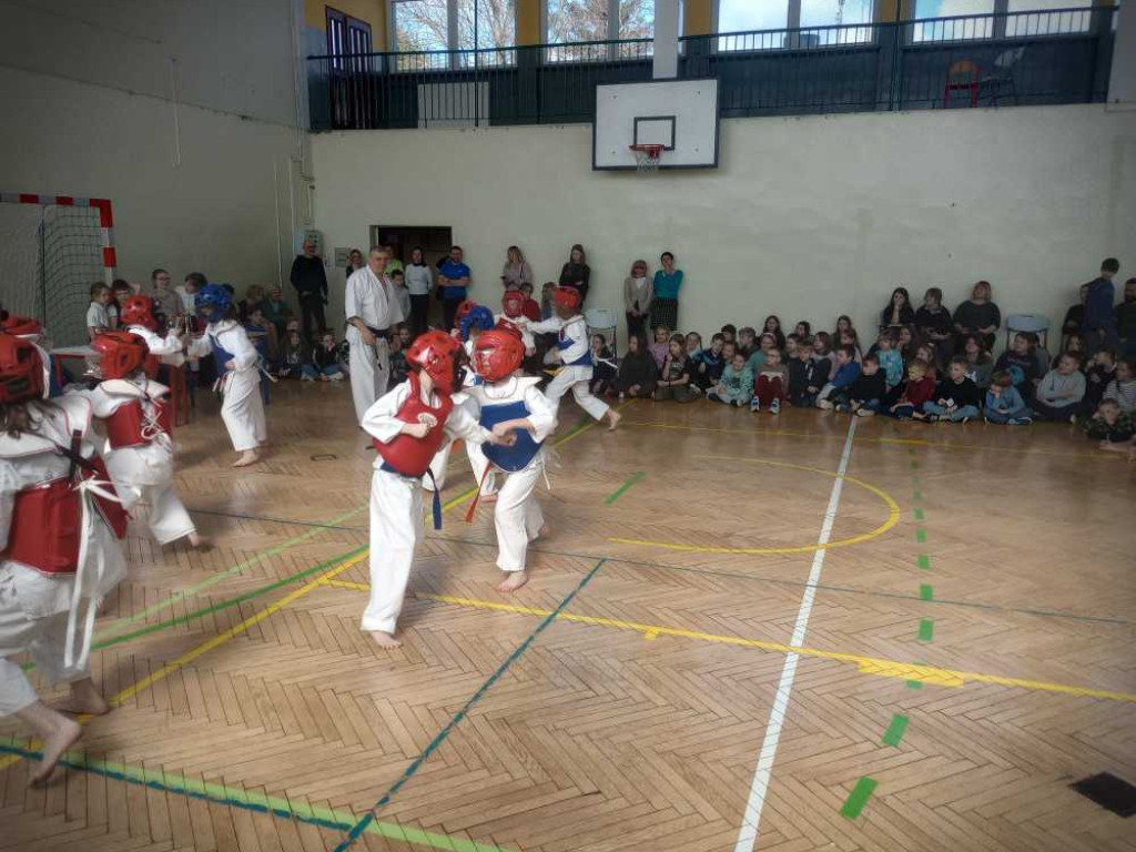 Pokaz karate w hrubieszowskiej Trójce [ZDJĘCIA]