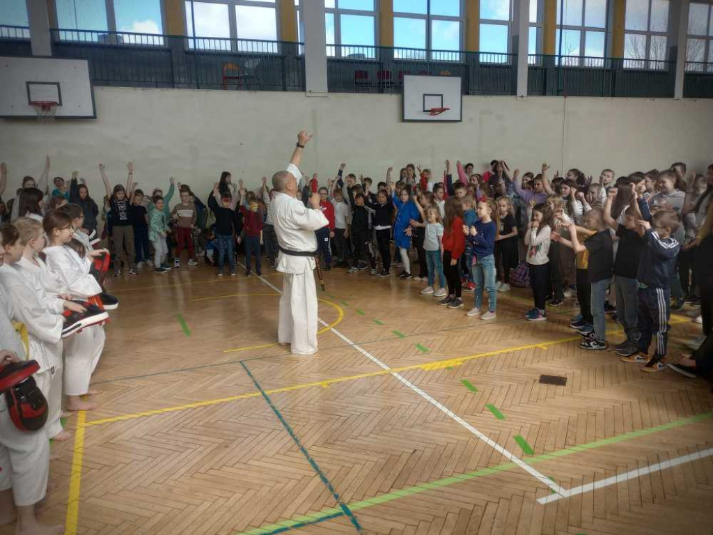 Pokaz karate w hrubieszowskiej Trójce [ZDJĘCIA]