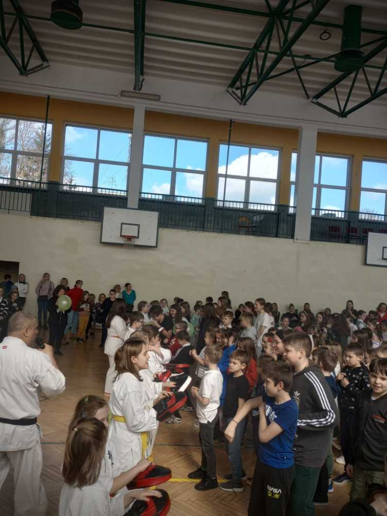 Pokaz karate w hrubieszowskiej Trójce [ZDJĘCIA]