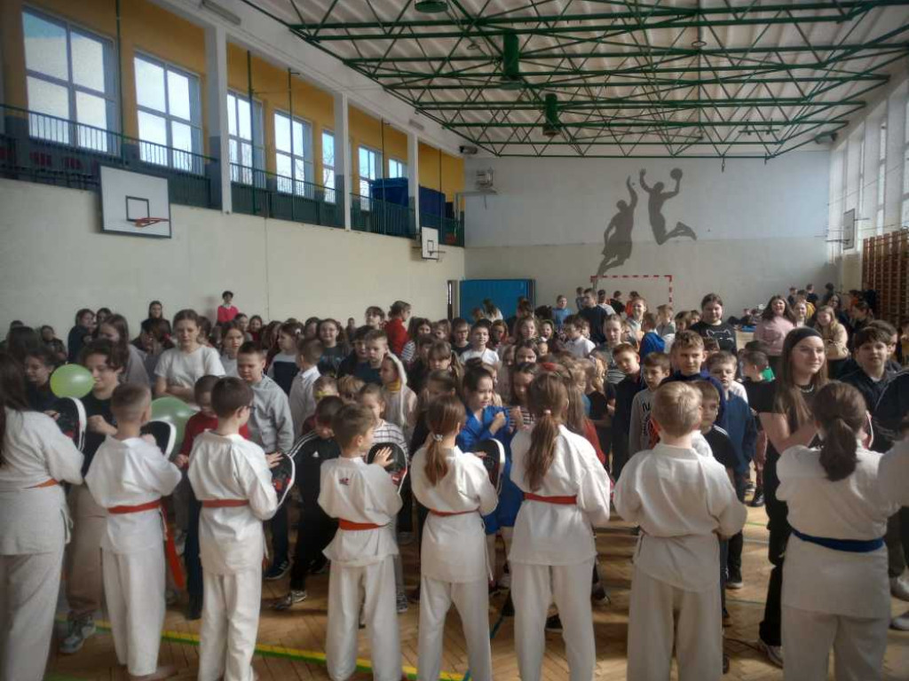 Pokaz karate w hrubieszowskiej Trójce [ZDJĘCIA]