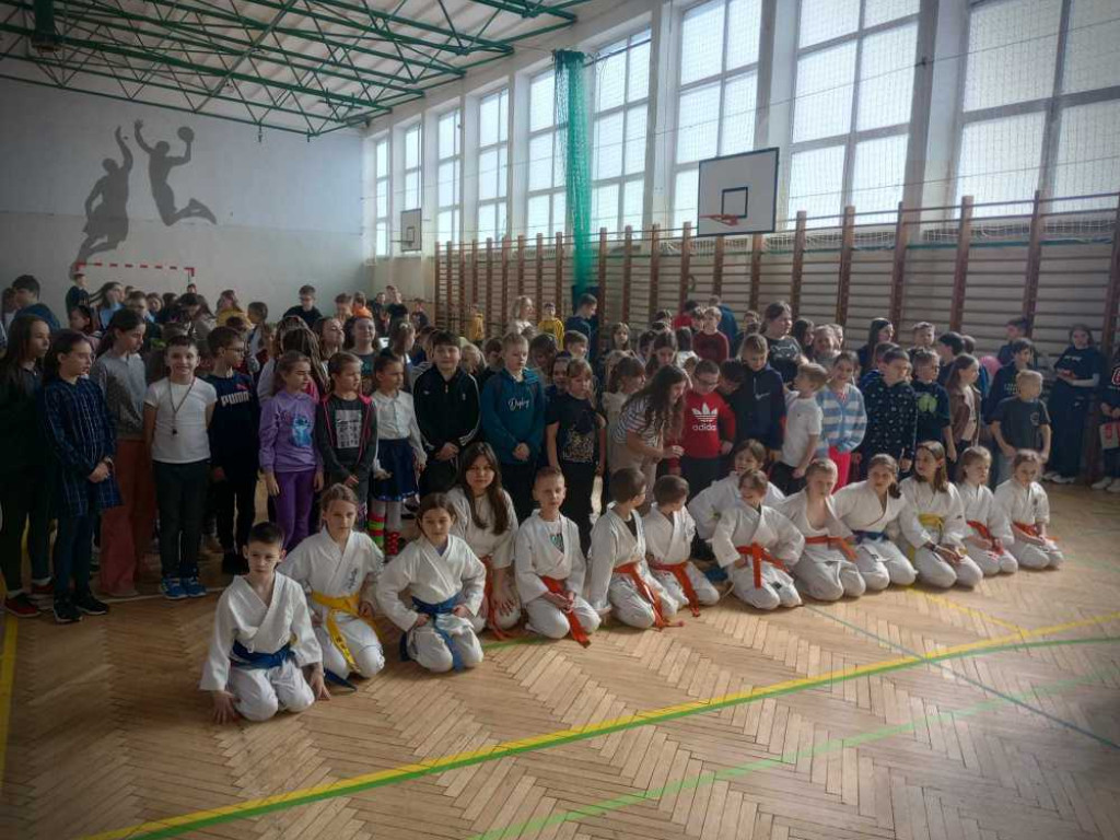 Pokaz karate w hrubieszowskiej Trójce [ZDJĘCIA]