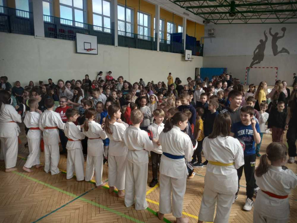 Pokaz karate w hrubieszowskiej Trójce [ZDJĘCIA]