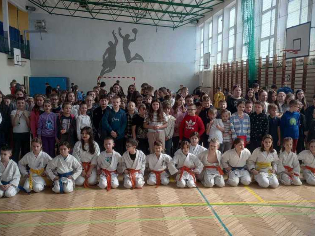Pokaz karate w hrubieszowskiej Trójce [ZDJĘCIA]