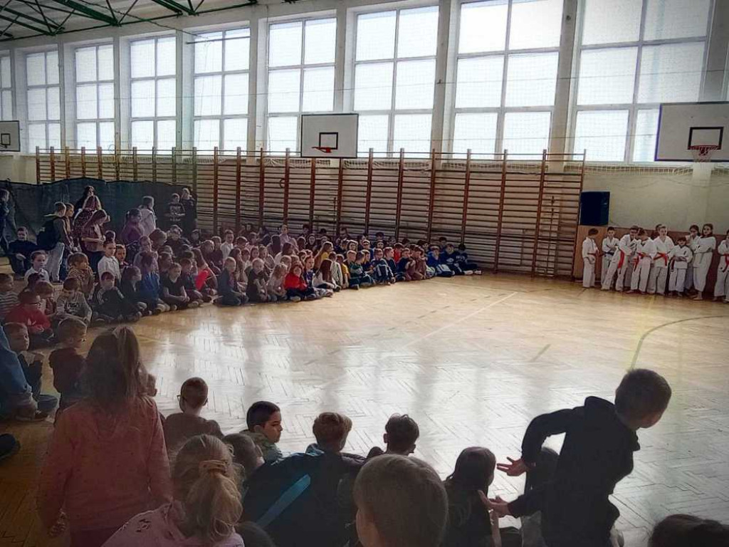 Pokaz karate w hrubieszowskiej Trójce [ZDJĘCIA]