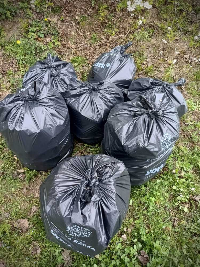 Czysta rzeka! [ZDJĘCIA]