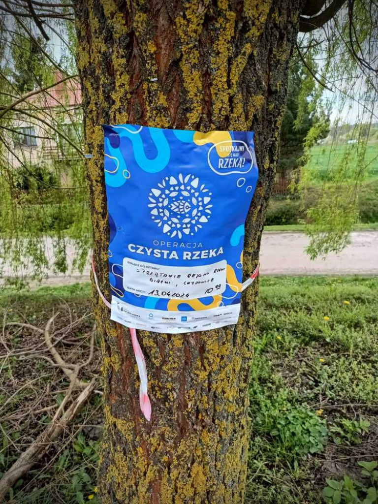 Czysta rzeka! [ZDJĘCIA]