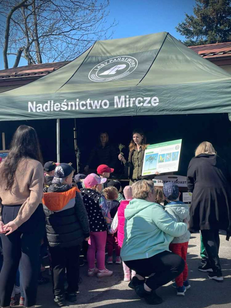 Akcja sadziMy w Hrubieszowie i Mirczu [ZDJĘCIA]