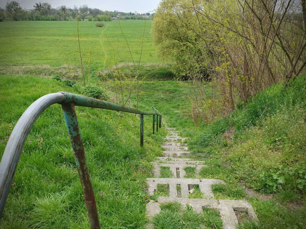 Gdzieś w Hrubieszowie... Łąki nad Huczwą [ZDJĘCIA]