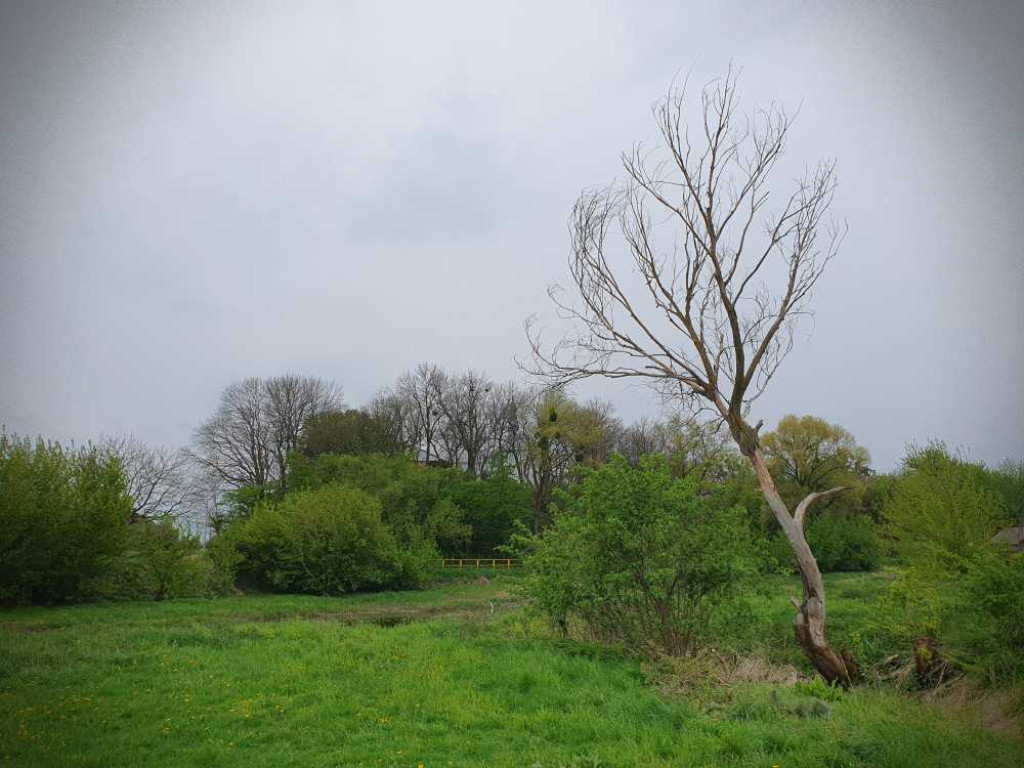 Gdzieś w Hrubieszowie... Łąki nad Huczwą [ZDJĘCIA]