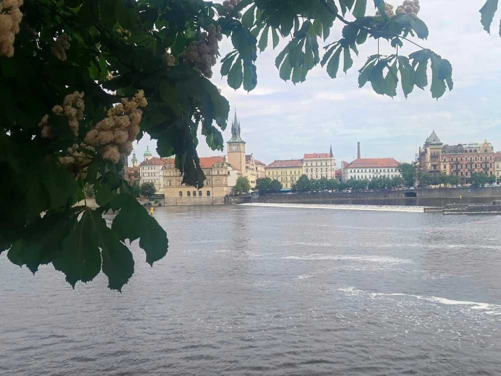 Hrubieszów: Wycieczka do Pragi i Ardspach [ZDJĘCIA]