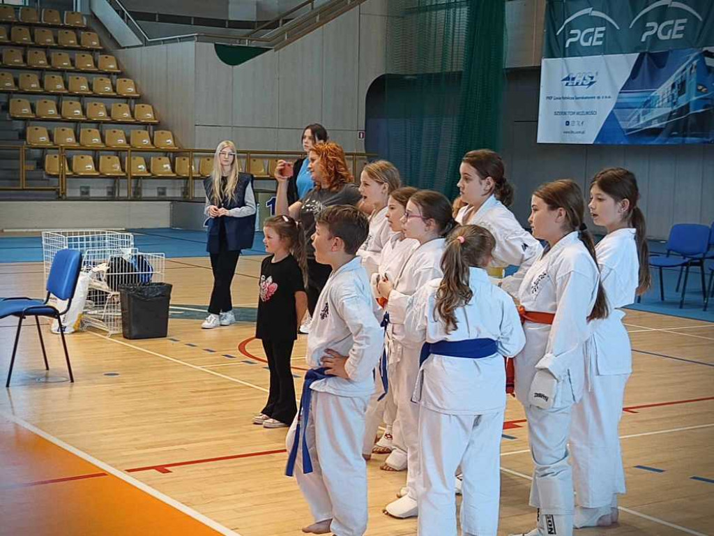 Hrubieszów: 15 medali na mistrzostwach województwa! [ZDJĘCIA]