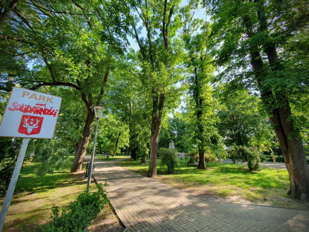 Gdzieś w Hrubieszowie... Park [ZDJĘCIA]