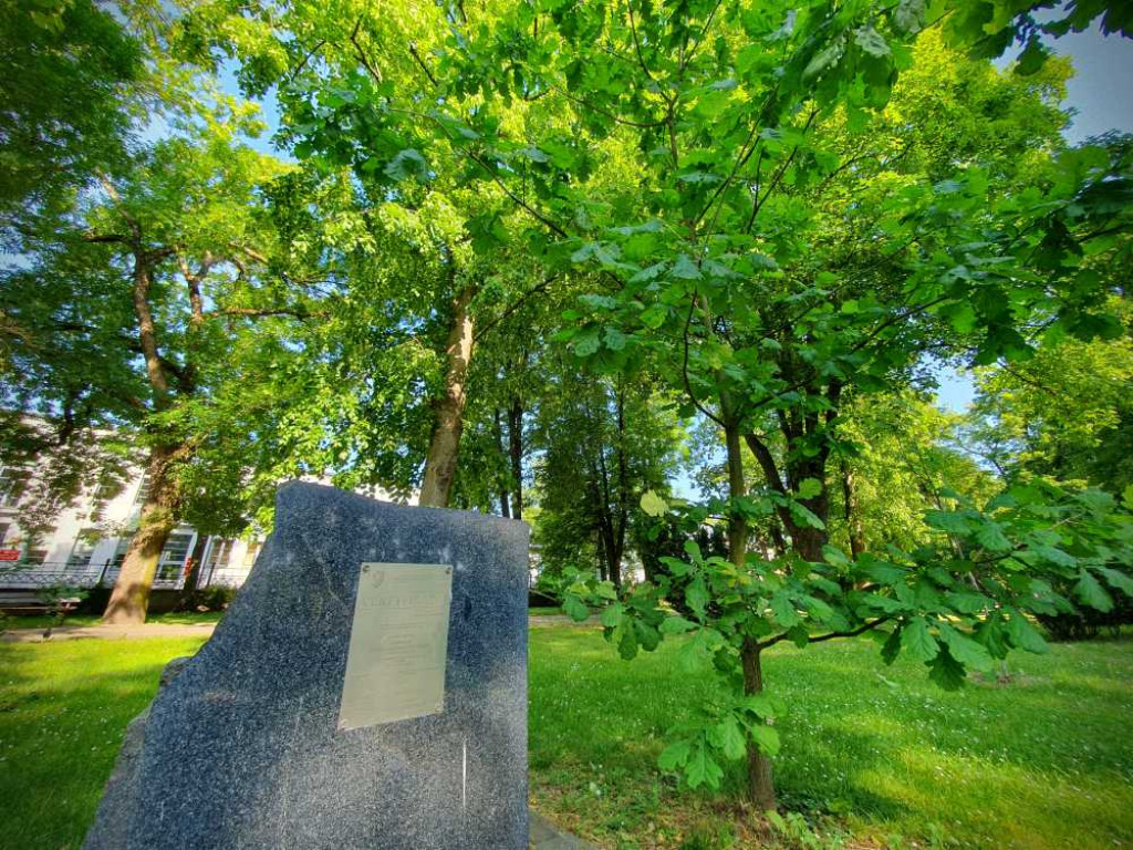 Gdzieś w Hrubieszowie... Park [ZDJĘCIA]