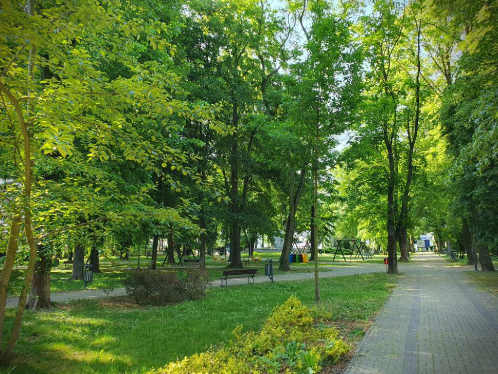 Gdzieś w Hrubieszowie... Park [ZDJĘCIA]