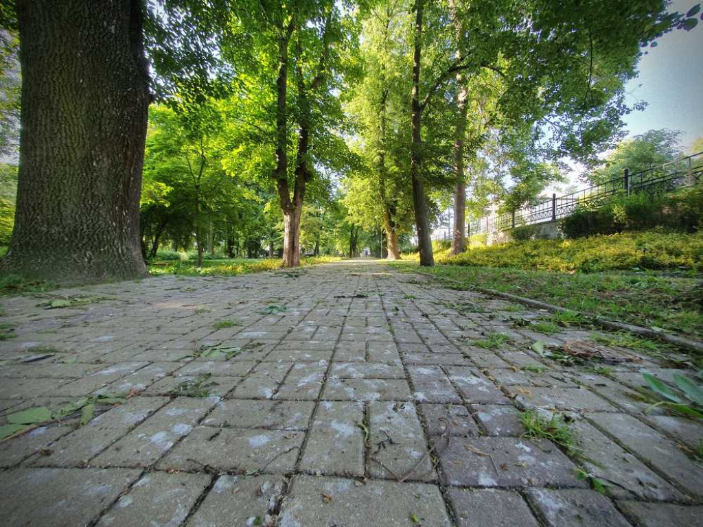 Gdzieś w Hrubieszowie... Park [ZDJĘCIA]