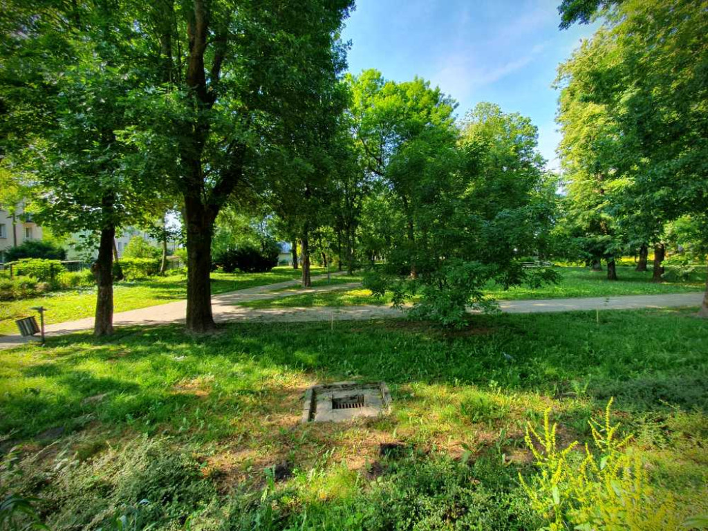 Gdzieś w Hrubieszowie... Park [ZDJĘCIA]