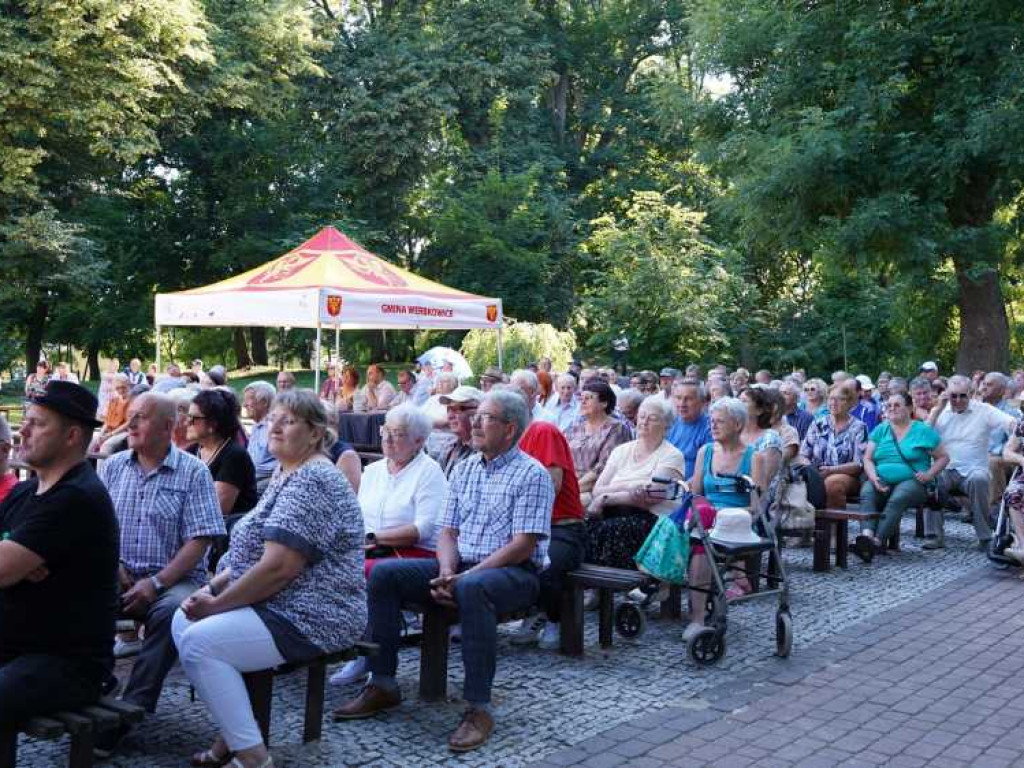 Za nami XIV Wojewódzki Festiwal Kapel Ulicznych i Podwórkowych [ZDJĘCIA]