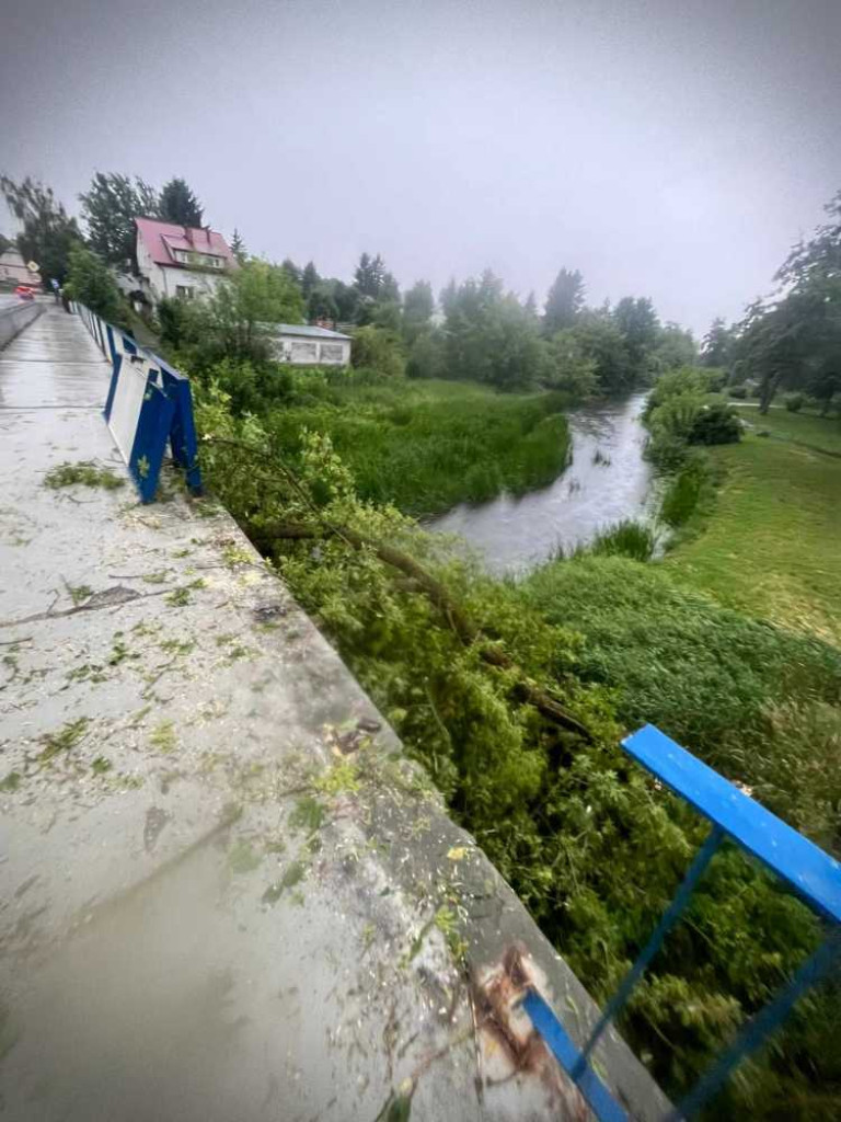 Hrubieszów: Powalone drzewa, zerwane dachy i linie energetyczne. Strażacy interweniowali 24 razy [ZDJĘCIA]