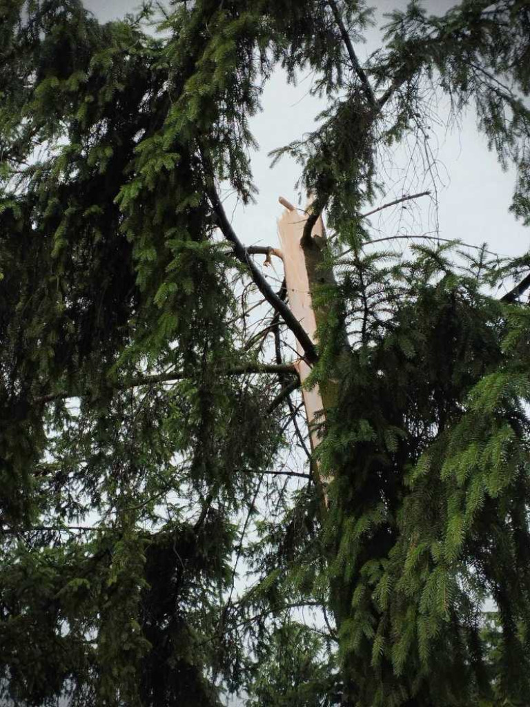 Hrubieszów: Powalone drzewa, zerwane dachy i linie energetyczne. Strażacy interweniowali 24 razy [ZDJĘCIA]