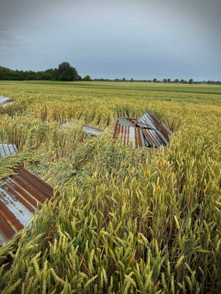 Hrubieszów: Powalone drzewa, zerwane dachy i linie energetyczne. Strażacy interweniowali 24 razy [ZDJĘCIA]