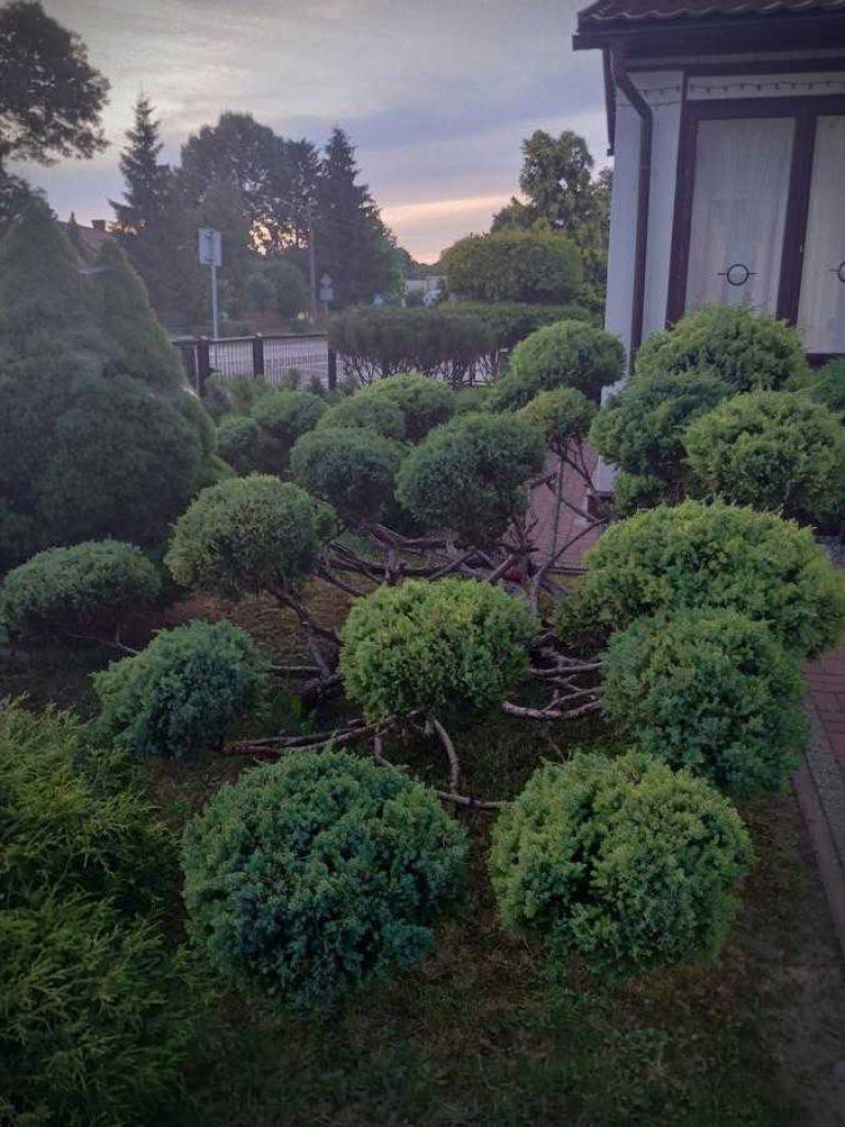 Hrubieszów: Najpiękniejsze posesje i balkony - konkurs rozstrzygnięty [ZDJĘCIA]