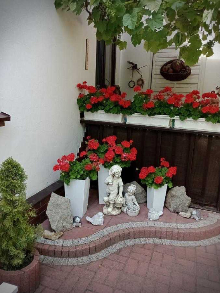Hrubieszów: Najpiękniejsze posesje i balkony - konkurs rozstrzygnięty [ZDJĘCIA]