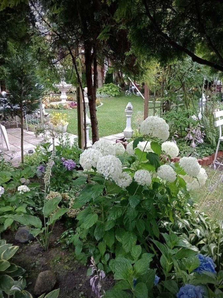 Hrubieszów: Najpiękniejsze posesje i balkony - konkurs rozstrzygnięty [ZDJĘCIA]