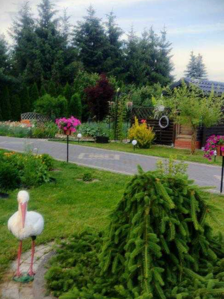 Hrubieszów: Najpiękniejsze posesje i balkony - konkurs rozstrzygnięty [ZDJĘCIA]