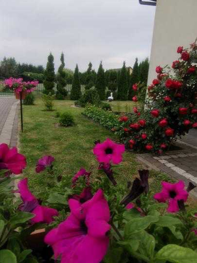 Hrubieszów: Najpiękniejsze posesje i balkony - konkurs rozstrzygnięty [ZDJĘCIA]