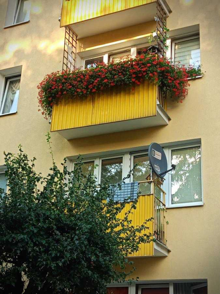Hrubieszów: Najpiękniejsze posesje i balkony - konkurs rozstrzygnięty [ZDJĘCIA]
