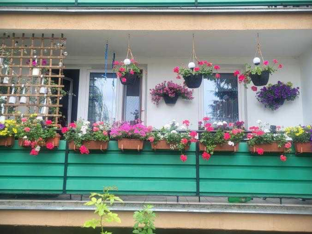 Hrubieszów: Najpiękniejsze posesje i balkony - konkurs rozstrzygnięty [ZDJĘCIA]