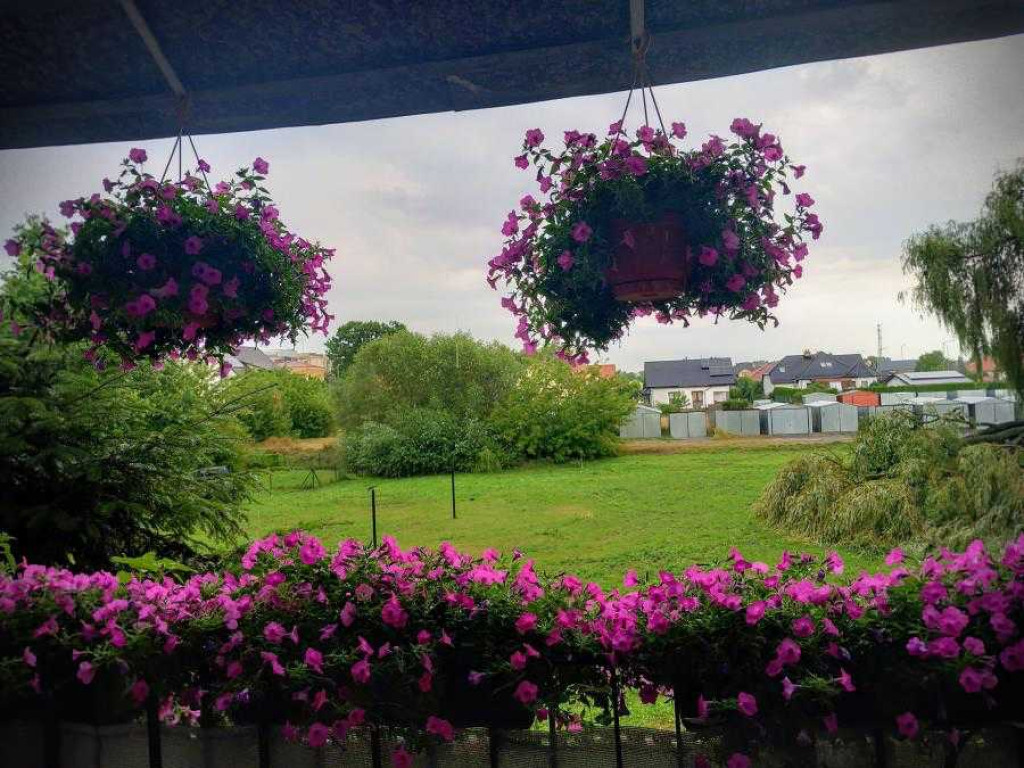 Hrubieszów: Najpiękniejsze posesje i balkony - konkurs rozstrzygnięty [ZDJĘCIA]