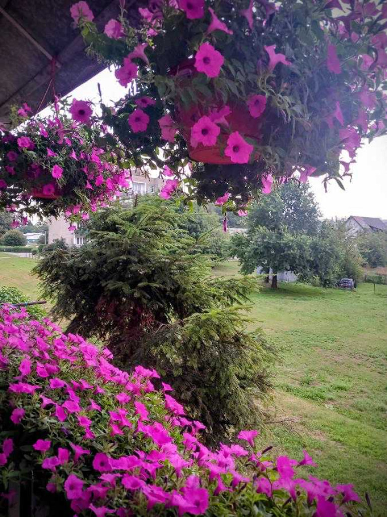 Hrubieszów: Najpiękniejsze posesje i balkony - konkurs rozstrzygnięty [ZDJĘCIA]