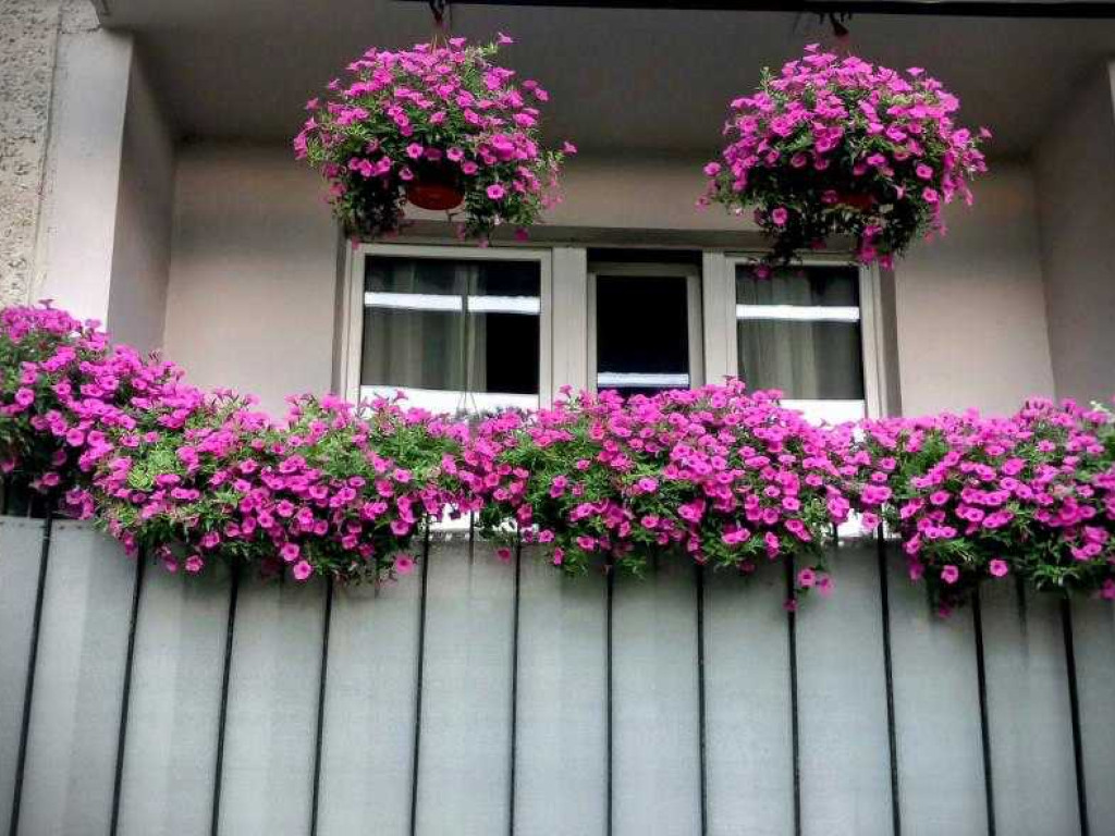 Hrubieszów: Najpiękniejsze posesje i balkony - konkurs rozstrzygnięty [ZDJĘCIA]